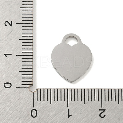 Non-Tarnish 304 Stainless Steel Pendants FIND-M017-01P-V-1