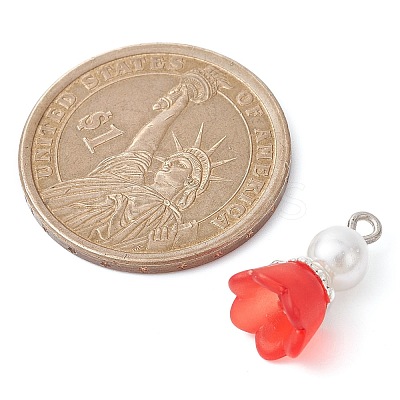 Transparent Acrylic Pendants PALLOY-JF02336-1