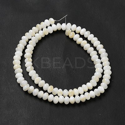 Natural Freshwater Shell Beads Strands BSHE-E026-15B-01-1
