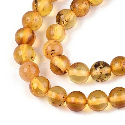 Natural Amber Beads Strands G-K387-D02-03-1
