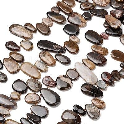 Natural Petrified Wood Beads Strands G-C253-06-1
