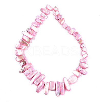 Natural Freshwater Shell Beads Strands X-SHEL-N026-123B-1