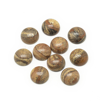 Natural Picture Jasper Cabochons X-G-R416-8mm-42-1