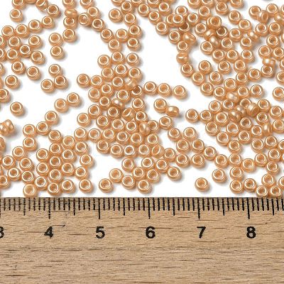 Baking Paint Glass Seed Beads SEED-P006-03A-24-1