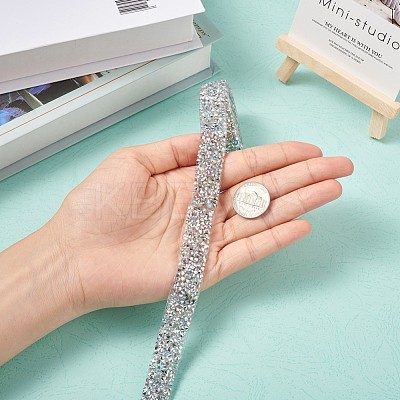 Glitter Resin Hotfix Rhinestone(Hot Melt Adhesive On The Back) OCOR-TAC0004-B-01-1