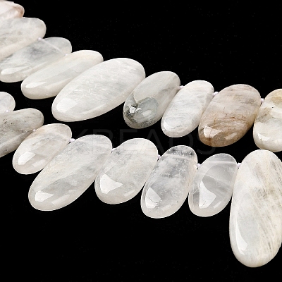 Natural Moonstone Beads Strands G-M408-D03-1