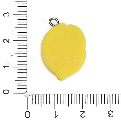 Resin with Alloy Pendants LS-RE-CBA08CD-09A-1