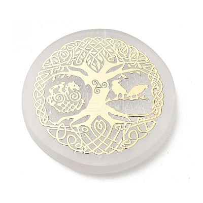 Flat Round Natural Selenite Slice Coasters AJEW-C042-01E-1