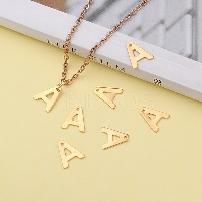 304 Stainless Steel Charms LS-X-STAS-P141-A-1