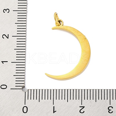 304 Stainless Steel Micro Pave Cubic Zirconia Pendants STAS-Z096-01G-03-1