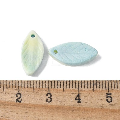 Natural Rainbow Alashan Agate Pendants G-G194-03D-1