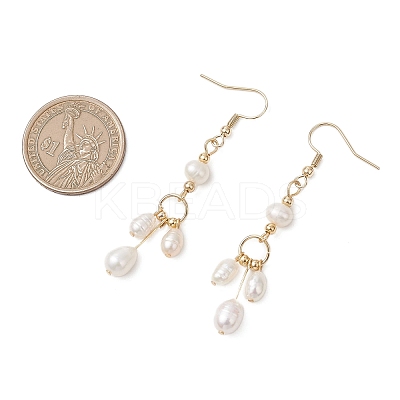 Oval Natural Cultured Freshwater Pearl Dangle Earrings EJEW-JE06889-1