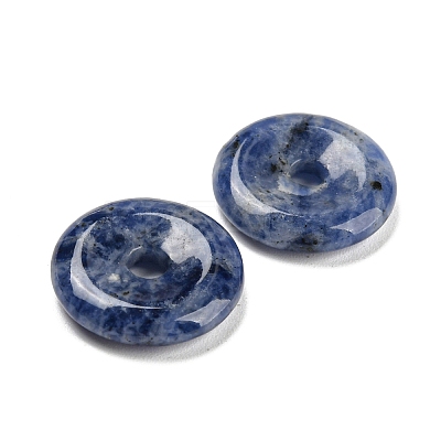 Natural Blue Spot Jasper China Safety Buckle Pendants LS-G-B052-12-1