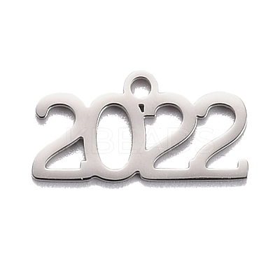 Non-Tarnish 304 Stainless Steel Pendants LS-STAS-C032-12P-1