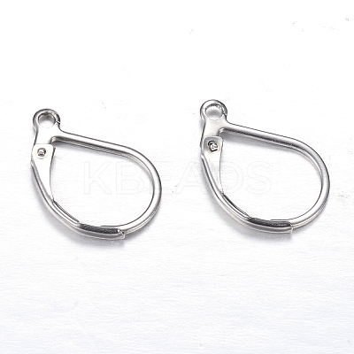 Tarnish Resistant 304 Stainless Steel Leverback Earring Findings LS-X-STAS-M217-03-1