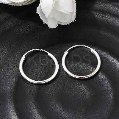 Brass Hoop Earrings EJEW-G474-01S-02-1