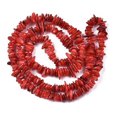 Natural Freshwater Shell Beads Strands SHEL-S278-071-1