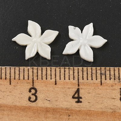 (Defective Closeout Sale: Yellowing) Resin Cabochons MRMJ-XCP0001-64A-1