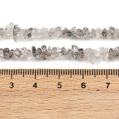 Natural Black Strawberry Quartz Chip Beads Strands G-B160-A03-1