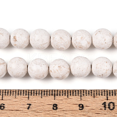 Dyed Natural Fossil Beads Strands G-T139-8mm-66A-1