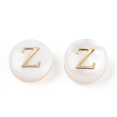 Natural Freshwater Shell Beads SHEL-N036-01Z-1