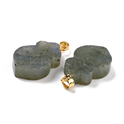 Natural Labradorite Pendants G-A203-02B-1