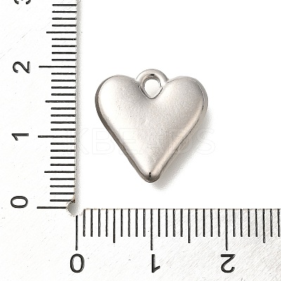 Anti-Tarnish 304 Stainless Steel Pendants STAS-I321-75P-1