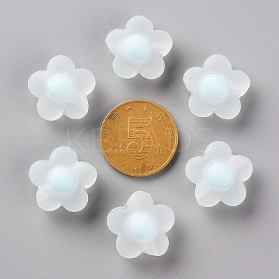Transparent Acrylic Beads TACR-S152-09C-10-1