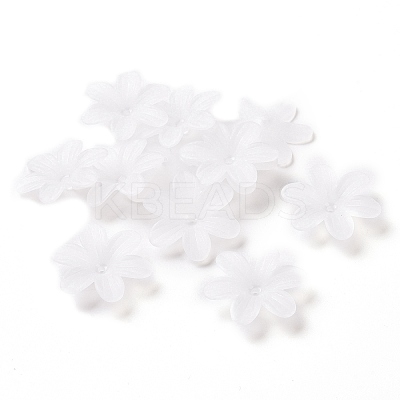 6-Petal Transparent Acrylic Bead Caps LS-X-OACR-A017-14-1