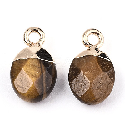 Natural Tiger Eye Charms X-G-N326-58C-1