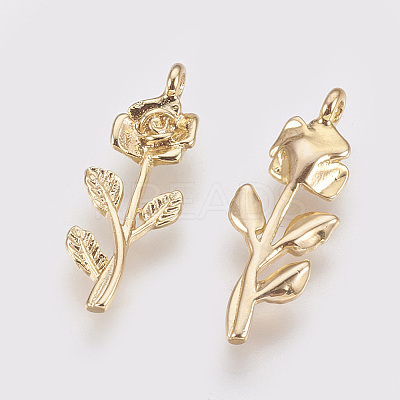 Brass Pendants X-KK-T020-117G-1