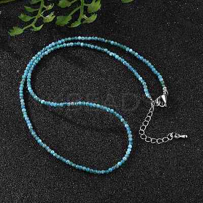 Natural Apatite Beaded Necklaces NJEW-JN02492-02-1
