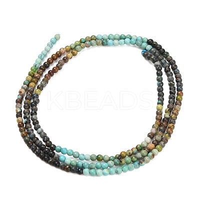 Gradient Color Natural HuBei Turquoise Beads Strands G-A322-A03-2mm-1
