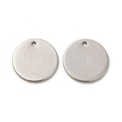 Non-Tarnish 304 Stainless Steel Charms LS-STAS-L207-24C-P-1
