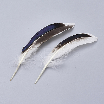 Feather Costume Accessories LS-X-FIND-Q046-15F-1