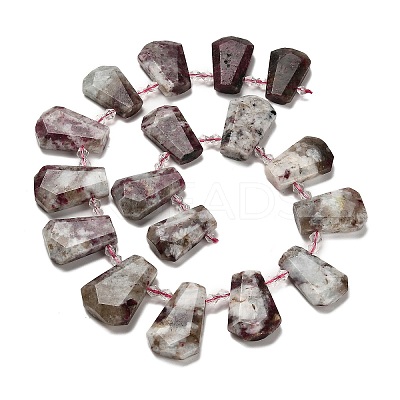 Natural Plum Blossom Tourmaline Beads Strands G-H078-A01-02-1