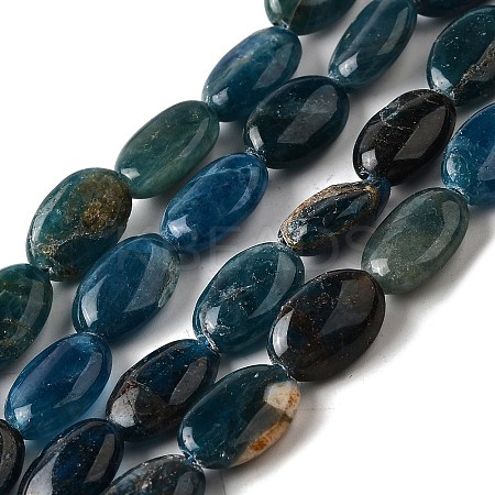 Natural Apatite Beads Strands G-Q026-A01-01-1