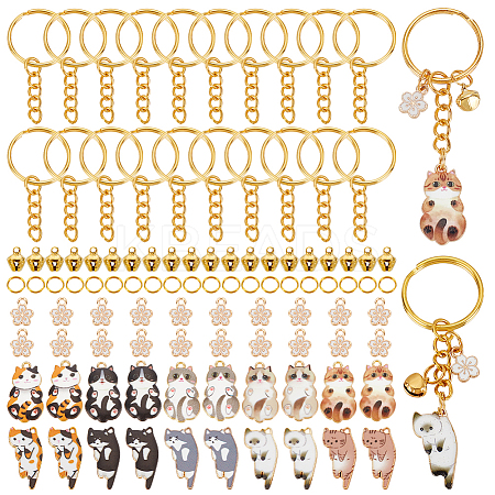 DIY Keychain Making Kit DIY-PH0021-54-1