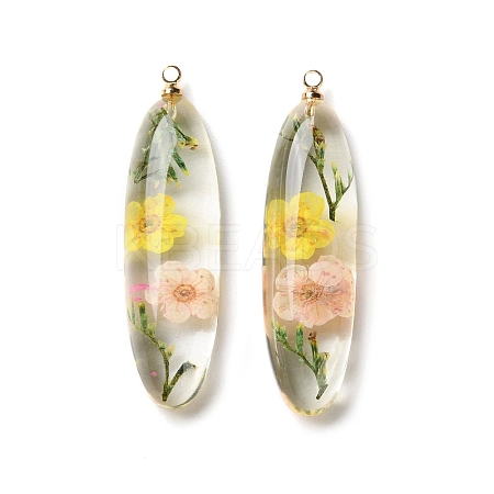 Inner Dried Flower Transparent Resin Pendants X-RESI-A043-01B-1