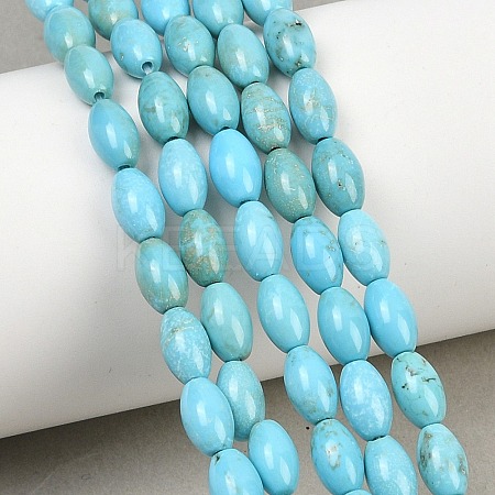 Natural Magnesite Beads Strands G-Z143-B01-01-1