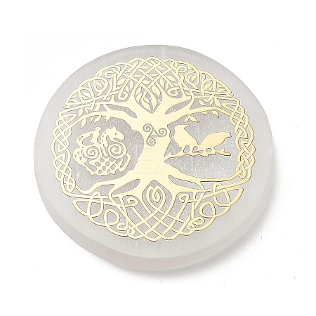 Flat Round Natural Selenite Slice Coasters AJEW-C042-01E-1