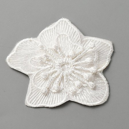 Computerized Embroidery Lace Self Adhesive/Sew on Patches DIY-WH0410-49E-1
