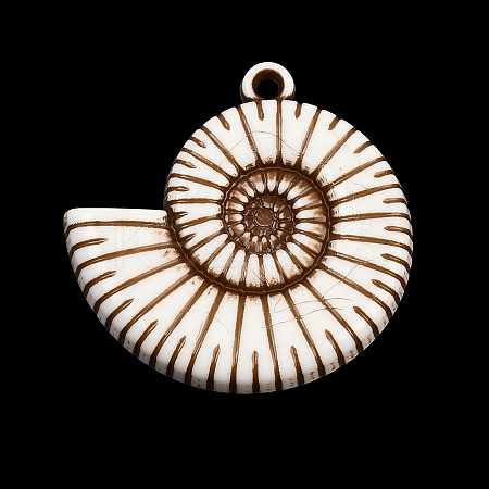 Spray Painted Opaque Acrylic Pendants ACRP-F003-03A-1