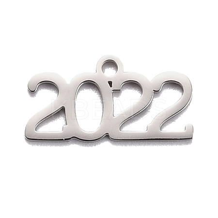 Non-Tarnish 304 Stainless Steel Pendants LS-STAS-C032-12P-1