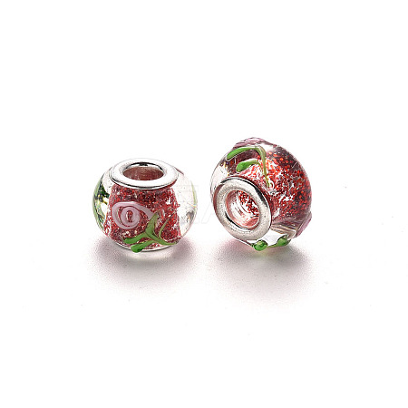 Handmade Lampwork European Beads LPDL-N001-047-D02-1