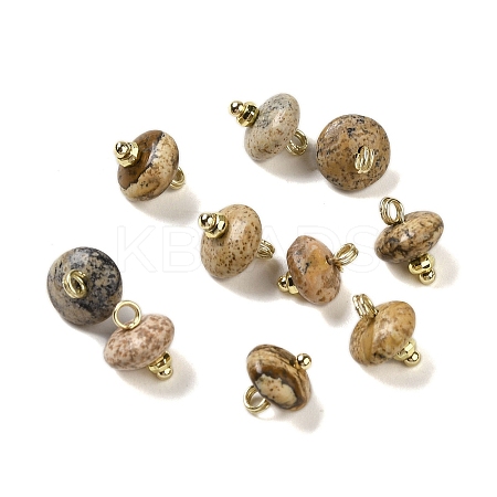 Natural Picture Jasper Rondelle Charms with Rack Plating Brass Loops G-G110-05B-11-1