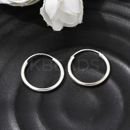 Brass Hoop Earrings EJEW-G474-01S-02-1