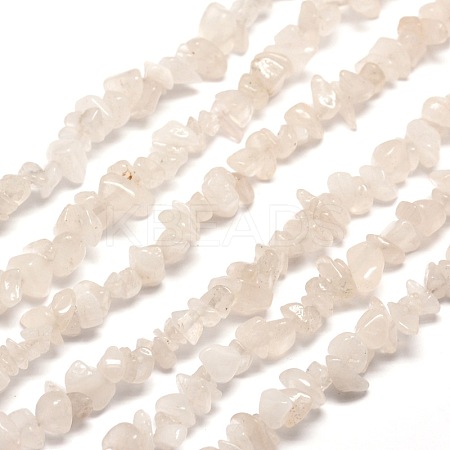 Natural Quartz Crystal Chip Beads Strands G-M205-05-1