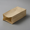 Rectangle Paper Bags LS-ABAG-WH0038-13-3