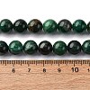 Natural Fuchsite Beads Strands G-K393-A02-10mm-5
